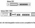 Peplink CAT-20 FlexModule for Peplink Balance 20X, 380X, 580X - Alternate View - Showing interchangeable faceplate